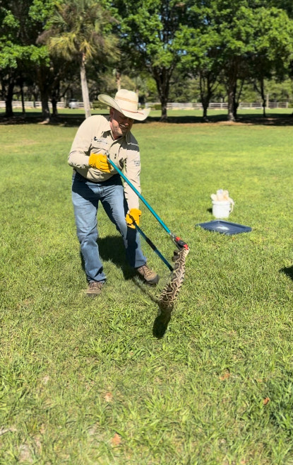 Wildlife Removal Quote