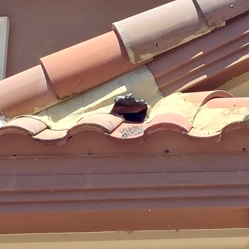 How do I remove squirrels from my attic?