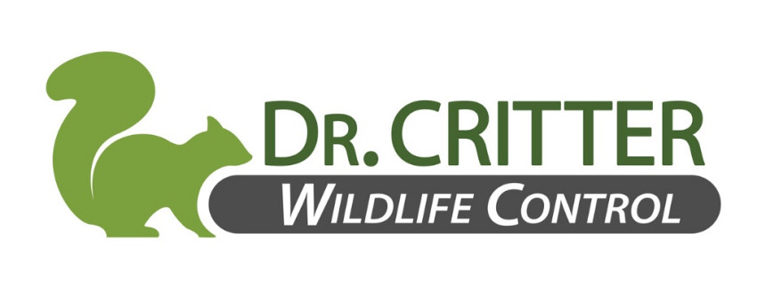 Orlando Critter Control
