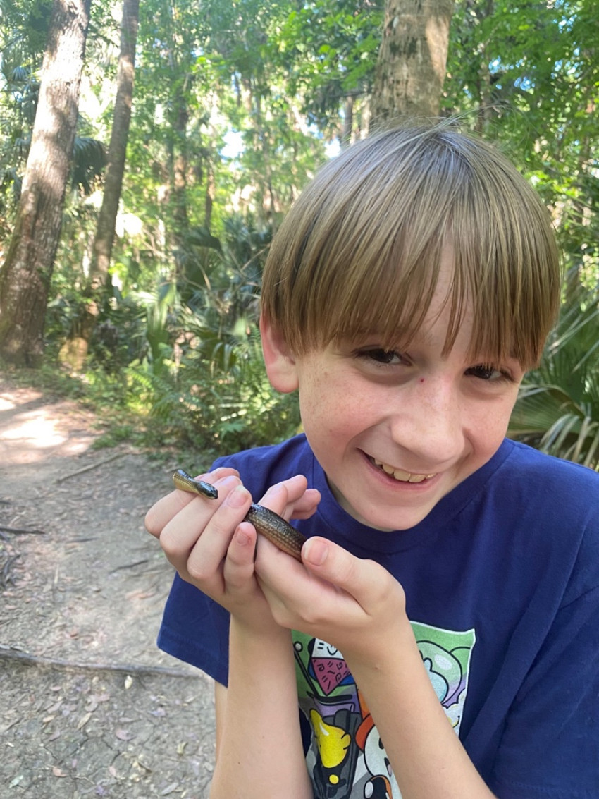 Central Florida Snake Location