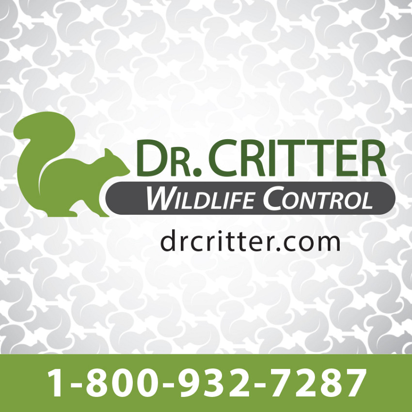 Pest Control or Wildlife Control