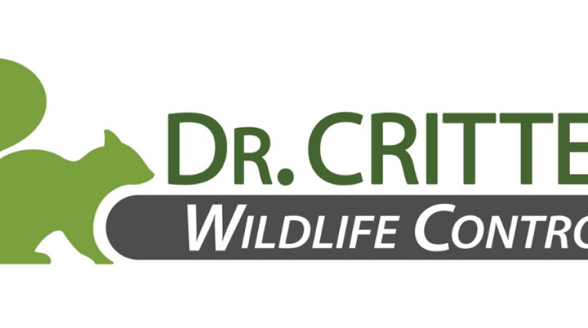 Orlando Critter Control