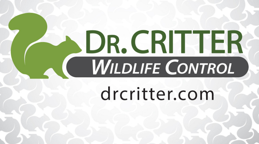 Pest Control or Wildlife Control