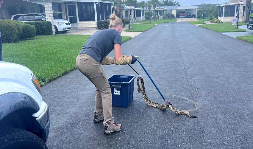 Snake Control Experts